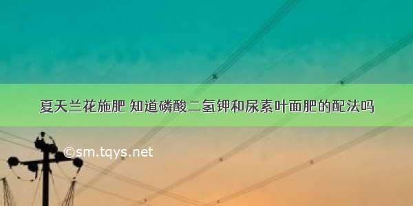 夏天兰花施肥 知道磷酸二氢钾和尿素叶面肥的配法吗