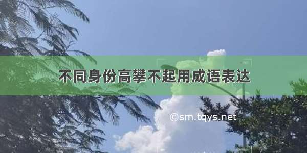 不同身份高攀不起用成语表达