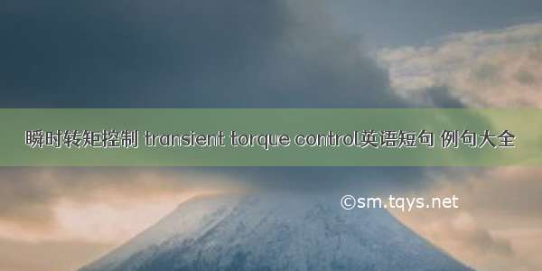 瞬时转矩控制 transient torque control英语短句 例句大全