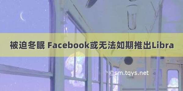 被迫冬眠 Facebook或无法如期推出Libra