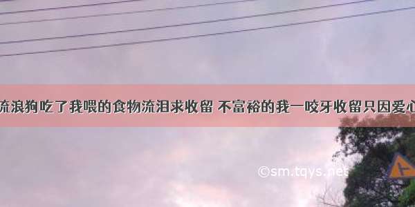 流浪狗吃了我喂的食物流泪求收留 不富裕的我一咬牙收留只因爱心