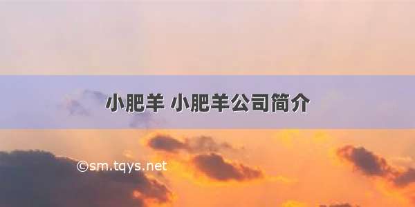 小肥羊 小肥羊公司简介