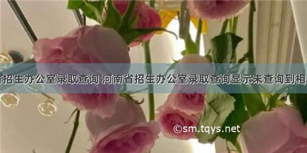 河南省招生办公室录取查询 河南省招生办公室录取查询显示未查询到相关信息