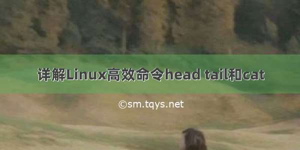 详解Linux高效命令head tail和cat