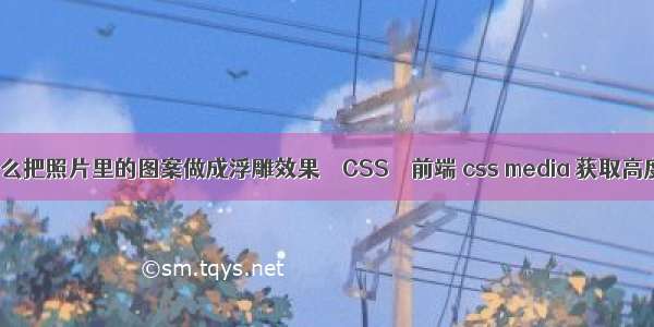 怎么把照片里的图案做成浮雕效果 – CSS – 前端 css media 获取高度