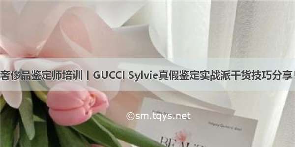 奢侈品鉴定师培训丨GUCCI Sylvie真假鉴定实战派干货技巧分享！