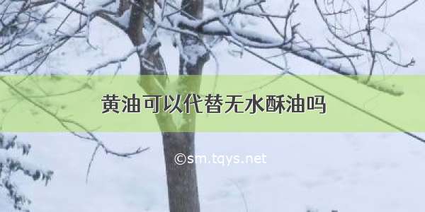 黄油可以代替无水酥油吗