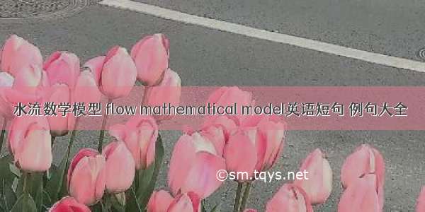 水流数学模型 flow mathematical model英语短句 例句大全