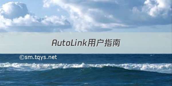 AutoLink用户指南