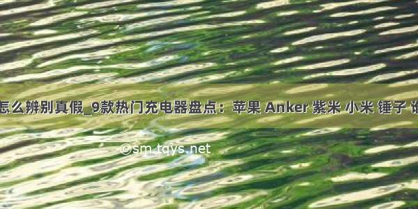 苹果充电器怎么辨别真假_9款热门充电器盘点：苹果 Anker 紫米 小米 锤子 谁更值得买...