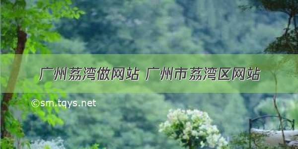 广州荔湾做网站 广州市荔湾区网站