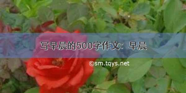 写早晨的500字作文：早晨