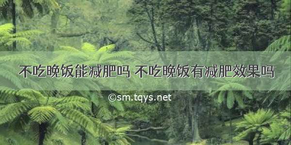 不吃晚饭能减肥吗 不吃晚饭有减肥效果吗