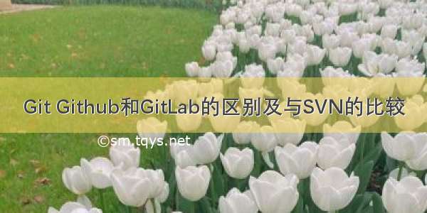 Git Github和GitLab的区别及与SVN的比较