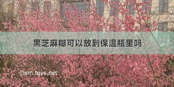 黑芝麻糊可以放到保温瓶里吗