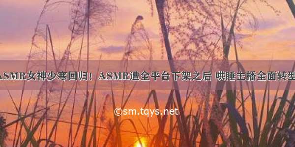 ASMR女神少寒回归！ASMR遭全平台下架之后 哄睡主播全面转型！