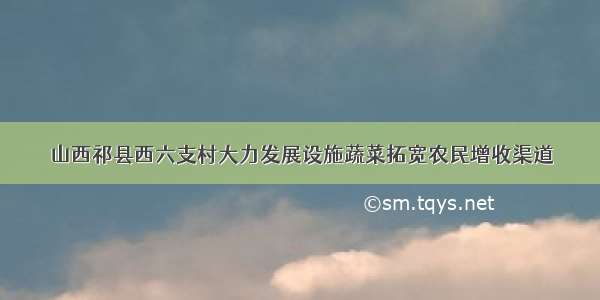 山西祁县西六支村大力发展设施蔬菜拓宽农民增收渠道