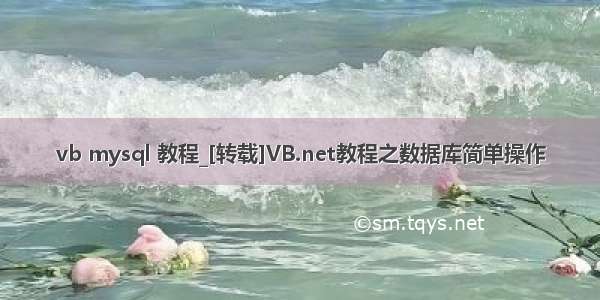 vb mysql 教程_[转载]VB.net教程之数据库简单操作