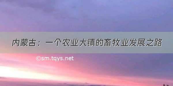 内蒙古：一个农业大镇的畜牧业发展之路