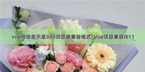 vue检测是不是360浏览器兼容模式_Vue项目兼容IE11