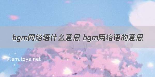 bgm网络语什么意思 bgm网络语的意思