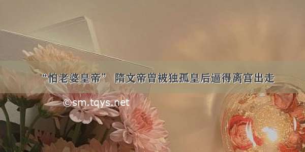 “怕老婆皇帝” 隋文帝曾被独孤皇后逼得离宫出走