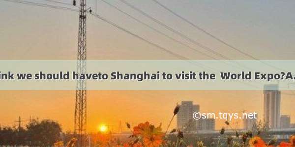 Who do you think we should haveto Shanghai to visit the  World Expo?A. to goB. goneC.