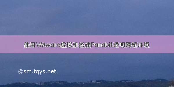 使用VMware虚拟机搭建Panabit透明网桥环境