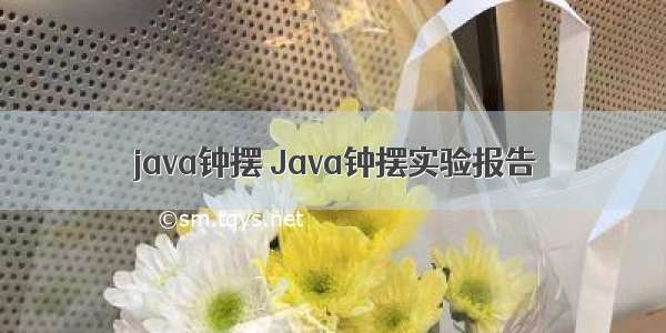 java钟摆 Java钟摆实验报告