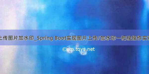 java上传图片加水印_Spring Boot实现图片上传/加水印一把梭操作实例代码