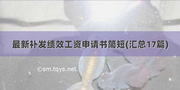 最新补发绩效工资申请书简短(汇总17篇)