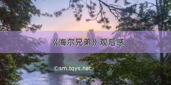 《海尔兄弟》观后感