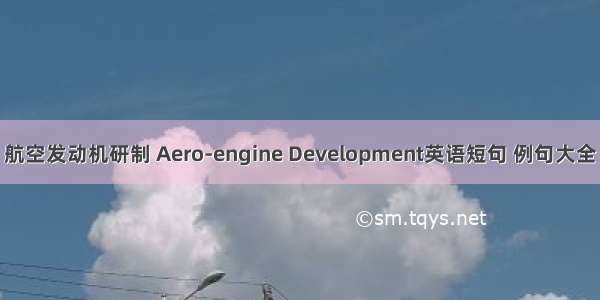 航空发动机研制 Aero-engine Development英语短句 例句大全