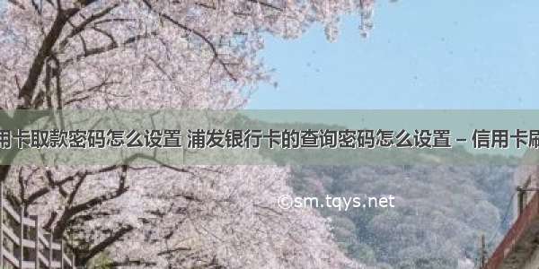 信用社信用卡取款密码怎么设置 浦发银行卡的查询密码怎么设置 – 信用卡刷卡 – 前端