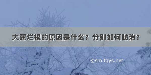 大葱烂根的原因是什么？分别如何防治？