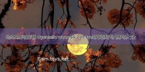 动态访问控制 dynamic access control英语短句 例句大全