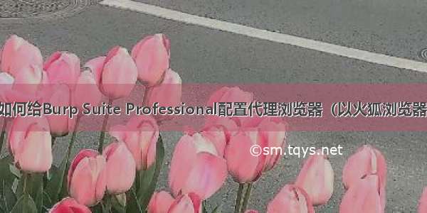 教你如何给Burp Suite Professional配置代理浏览器（以火狐浏览器为例）