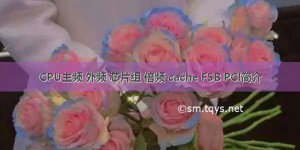 CPU主频 外频 芯片组 倍频 cache FSB PCI简介