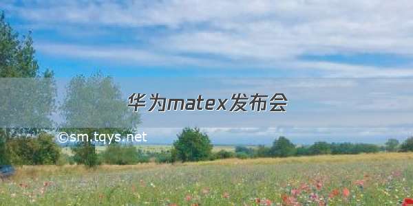 华为matex发布会