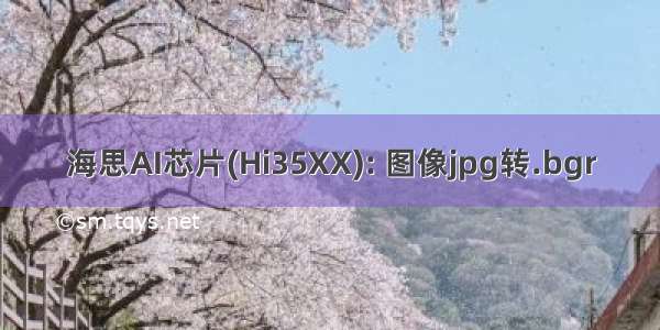 海思AI芯片(Hi35XX): 图像jpg转.bgr