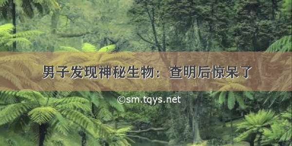 男子发现神秘生物：查明后惊呆了