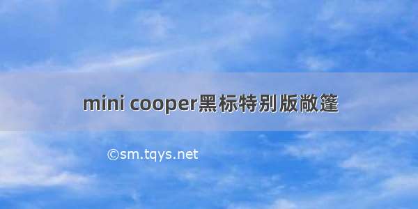 mini cooper黑标特别版敞篷