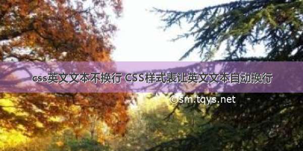 css英文文本不换行 CSS样式表让英文文本自动换行