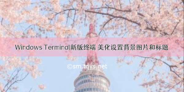 Windows Terminal新版终端 美化设置背景图片和标题