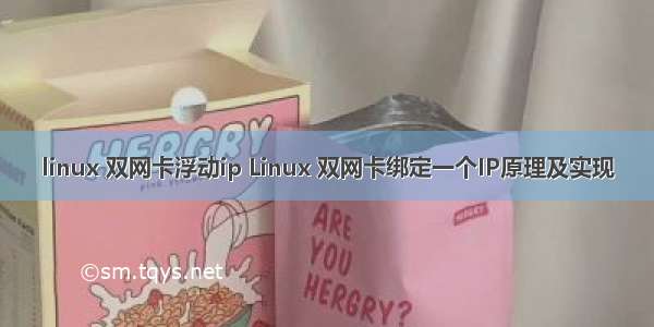 linux 双网卡浮动ip Linux 双网卡绑定一个IP原理及实现