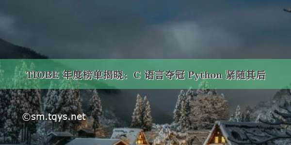 TIOBE 年度榜单揭晓：C 语言夺冠 Python 紧随其后