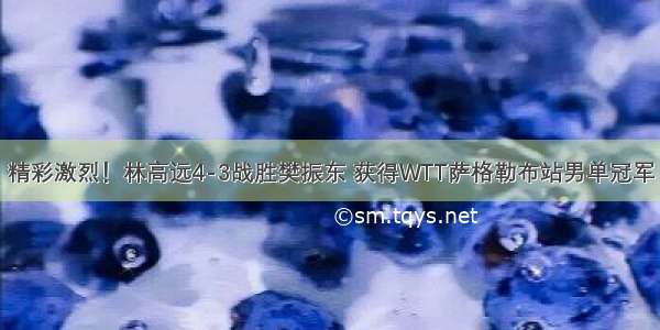 精彩激烈！林高远4-3战胜樊振东 获得WTT萨格勒布站男单冠军