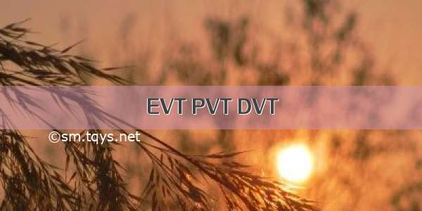 EVT PVT DVT