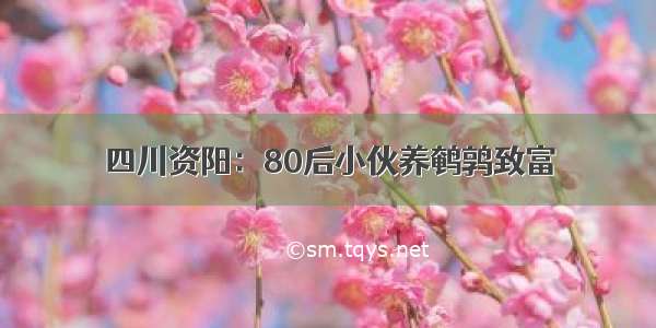 四川资阳：80后小伙养鹌鹑致富