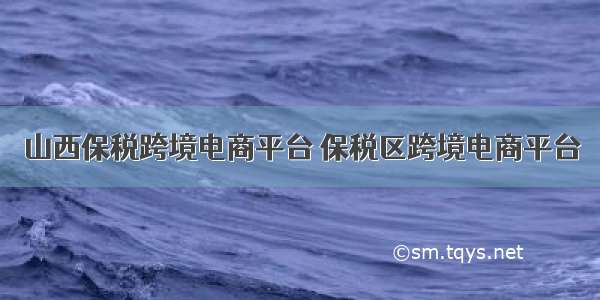 山西保税跨境电商平台 保税区跨境电商平台